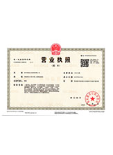 文山营业执照副本